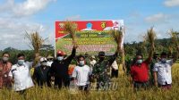 Dukung Ketahanan Pangan, Kodim 1616/Gianyar Panen Raya Padi_6093ce4f02218.jpeg
