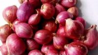 Mengetahui Manfaat Bawang Merah Bagi Kesehatan