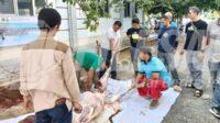 KNPI Karawang saat semeblih Hewan Qurban KNPI Karawang saat semeblih Hewan Qurban