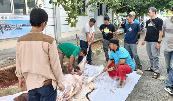 KNPI Karawang saat semeblih Hewan Qurban