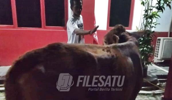 Khewan Korban DPC PDI Perjuangan Karawang