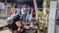 PWI dan SMSI Karawang Berqurban Satu Ekor Sapi dan Tiga Ekor Kambing