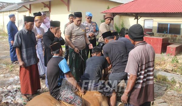 Polres Sumenep Sembelih Khewan Qurban