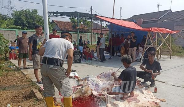 Warga Perumahan Khalisa Permata Klari saat melaksanakan penyembelihan khewan qurban