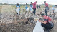 Forkopimcam Dentim Saat Bersih-Bersih Pantai