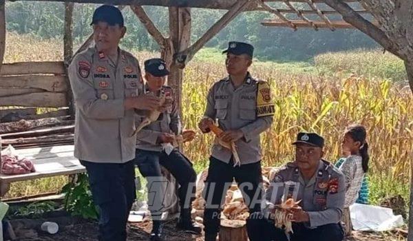 Polsek Lubuk Raja Bersama Warga Talang Lebak OKU Panen Jagung