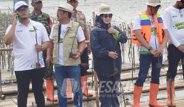 Anggota DPRD Jabar Sri Rahayu Agustia saat hadiri penanaman Mangrove di Cilamaya