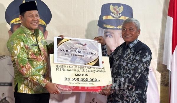 Bupati Sidoarjo Subandi (kiri), mengenakan batik hijau, menyerahkan secara simbolis KUR Khusus Tebu senilai Rp500 juta dari bankjatim kepada Ketua Kelompok Tani (kanan)