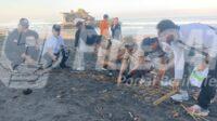 IMG-20260524-WA0049