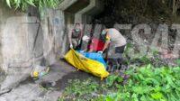 IMG-20260527-WA0208