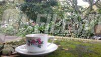 IMG-20260528-WA0046