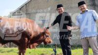 Ketua DPRD Karawang saat menerima Sapi Kurban dari Presiden RI