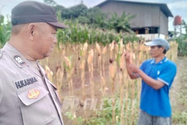 Anngota Polsek Klari Turun Langsung ke Sawah Kawal Swasembada Pangan