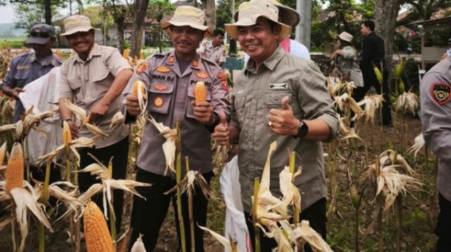 Satreskrim Polres Karawang Dampingi Petani Jagung