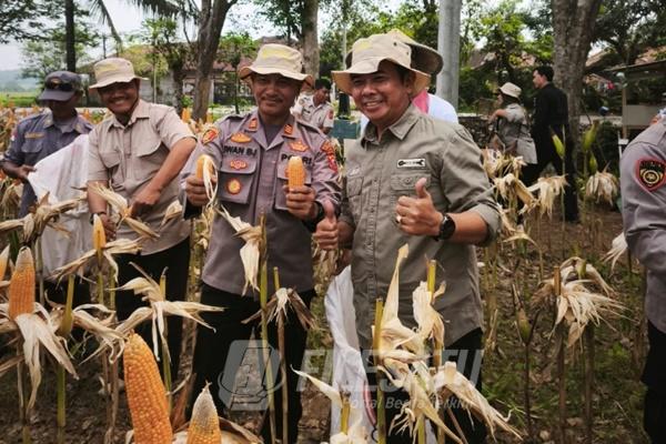 Satreskrim Polres Karawang Dampingi Petani Jagung