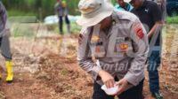 Satreskrim Polres Karawang Pantau Kebutuhan Pupuk Petani Satreskrim Polres Karawang Pantau Kebutuhan Pupuk Petani