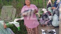 Danau Ranu Klakah Lumajang