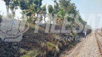 IMG-20260714-WA0060