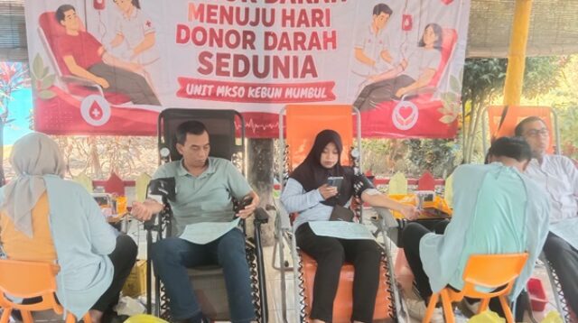 Kebun Mumbul dan UDD PMI Gelar Aksi Donor Darah