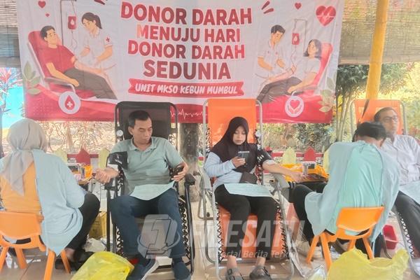 Kebun Mumbul dan UDD PMI Gelar Aksi Donor Darah