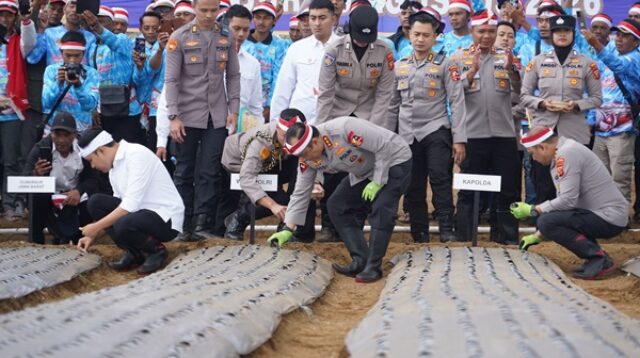 Waka Polri Pimpin Langsung Penanaman Perdana Bawang Putih Serentak
