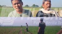 Tanah Bengkok Desa Babakan Disorot