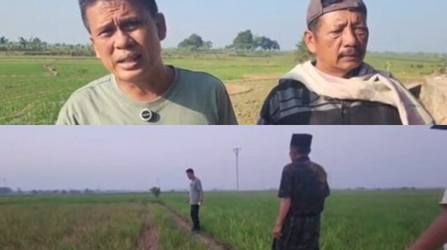 Tanah Bengkok Desa Babakan Disorot