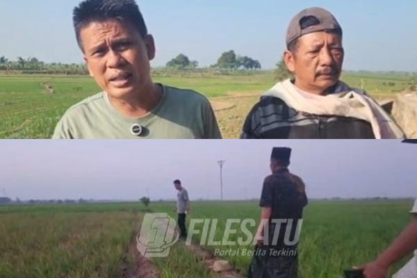 Tanah Bengkok Desa Babakan Disorot