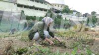 IMG-20261022-WA0094